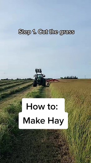 How to Make Hay: A Farmer's Guide