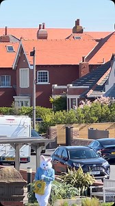 Caught on camera: the elusive Easter Bunny in action! It’s like spotting Bigfoot—only fluffier and way more generous. Spreading love, laughs, and Easter magic right outside @grand_hotel Happy Easter, everyone! #LythamStAnnes #HappyEaster | St Annes Beach Huts