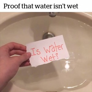 843K views · 1.2K reactions | Well, that settles it | VT | Facebook