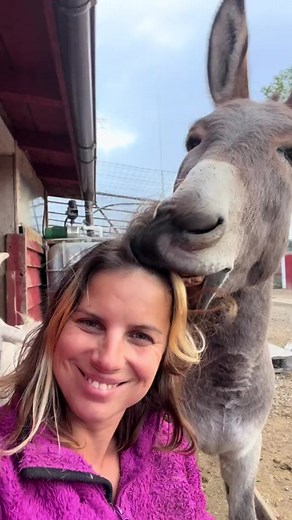 #donkey #farm #adorable #usa #familyfarm #farmlife #farmer #donkeyfarm #farming | Perry The Donkey
