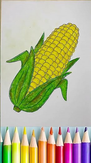 Bright Corn Drawing Illustration