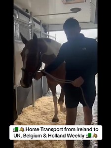 🚛🐴 Horse Transport from Ireland to UK, Belgium & Holland Weekly 🚛🐴 Looking for safe, reliable, and professional horse transport? Greenvale Horse Transport provides a smooth and stress-free journey for your horse with our experienced team and top-class facilities. 📍 Ireland to Belgium/Holland – Saturday 3rd January 📍 Ireland to UK – Wednesday 7th January 🚨 Limited Spaces Available – Book Now! 🚨 📞 Thomas: 44 7769 702474 ✉️ Email: info@greenvaletransport.com 💻 Web: http://www.greenvaletra