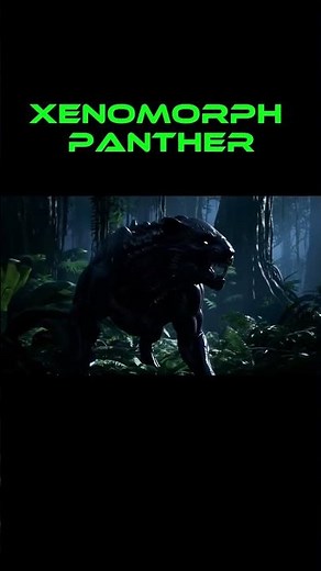 A Panther Exposed to The Black Goo // Xenomorph Panther Alien Hybrid