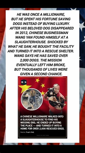 Millionaire Gave Up Everything to Save 2,000 Dogs 🐶❤️ #DogRescue #Kindness
