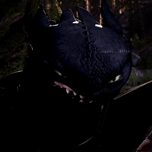 Toothless Protecting Astrid in a Dragon Scene