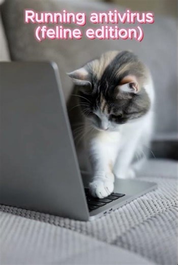 He’s deciding if the keyboard needs to be knocked over! #funnycat #petshorts #kittyfunny