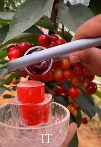 Amazing People Compilation - Amazing Skill and Talent | Thank Yuh