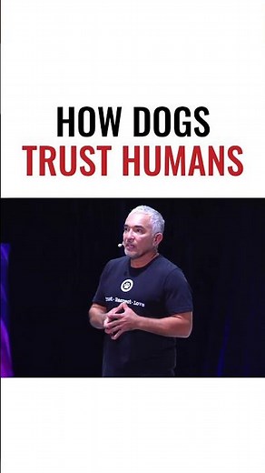 The Power of Trust Between Human and Dog