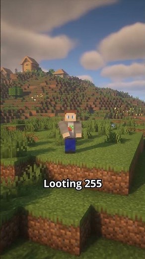 Sword with loot 255 in Minecraft
