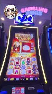 Buffalo Gold BONANZA! 8 Free Games Turned HUGE Win!