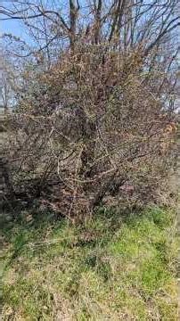 a little something of what my mom does for work