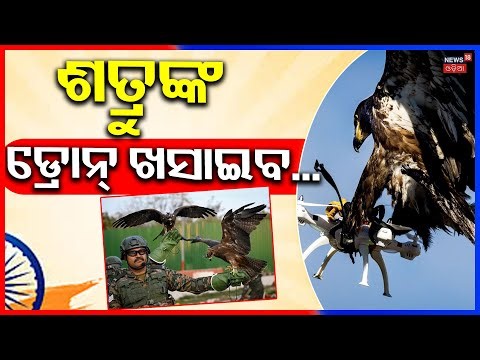 ଶତ୍ରୁଙ୍କ ଡ୍ରୋନ୍‌ ଖସାଇବ...India’s Silent Warriors: Karna & Arjun | Him Yodha | Spy Eagle | Odia News