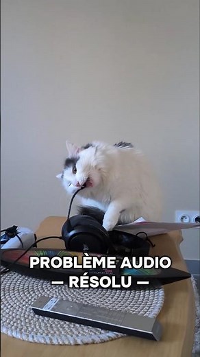 Why my microphone stopped working… 🐱🎧