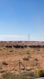 7K views · 565 reactions | Native Symbol ❤️ | Native Americans Spirit | Facebook