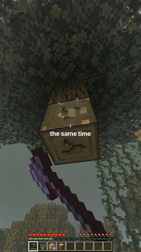 Features Java has that Bedrock NEEDS #minecraft #java #bedrock #comparison #survival #tips #tutorial