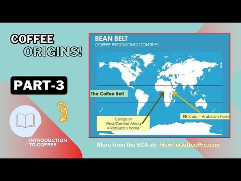 Part 3 - SCA Introduction to Coffee Course - Coffee Origins