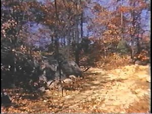 Ahrens Fox & Chilson Video - Fire In The Woods