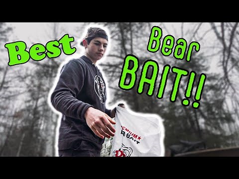 THE BEST BEAR BAIT!!! (2022)