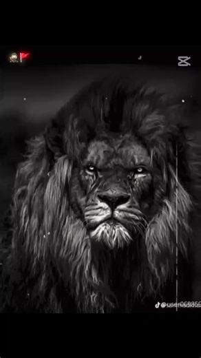 #creatorsearchinsights #king #fyp #JSF #fyp