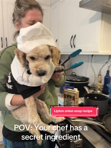 Just a nice Sunday dinner with chef Teddie with my dog friendly recipe. Use @Brutus Broth for dogs and @liptonicetea onion soup mix for your humans. #dogsoftiktok #pet #recipe #cooking