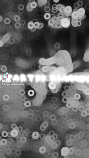 i love this grizzly to much #k18results #yamahagrizzly660 #overbored #700cc #grizzly660 #yamaha #builtnotbought