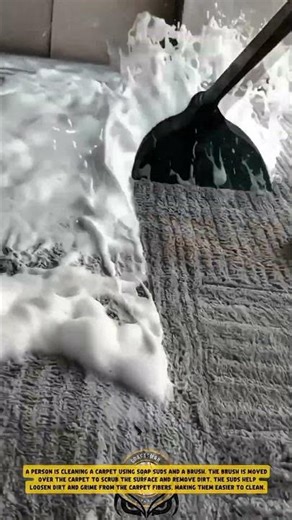 Carpet Water Removal using Floor Water Pusher - Good Tools and Machinery in Daily Work