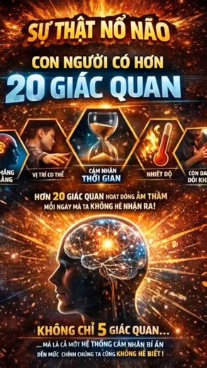 Sự Thật Nổ Não (số 2) : Con người có bao nhiêu giác quan #relaxing #relaxingmusic #nature