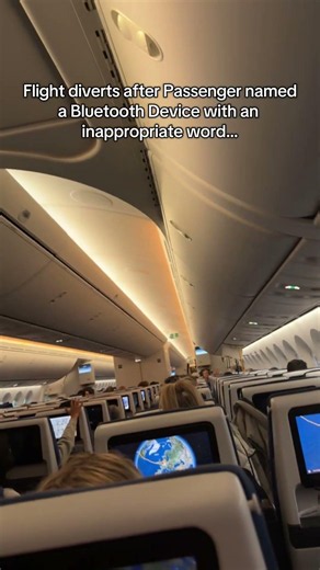 Passenger names Bluetooth Device a 4 letter word and forces flight to divert…#aviation