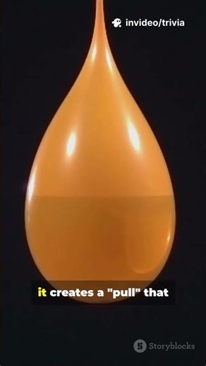 Trivia Fans: Water Beats Gravity | Trivia part 552 #Xylem #GlowPlants #Bioluminescence