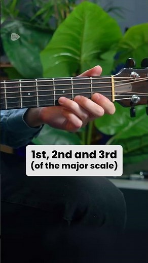 What Is Harmony? Beginner guitar Lesson