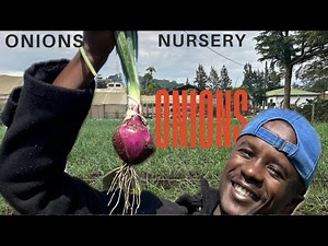 How to Set Up an Onion Nursery Step by Step | Soil, Bed Prep, Seed Sowing, and Irrigation
