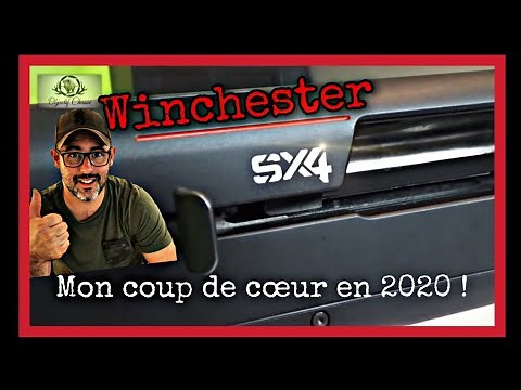 Winchester SX4 - Cal.20 ( Un fusil coup de coeur ! )