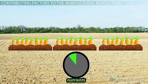 The Agricultural Revolution Timeline, Causes, Inventions Effects. - video Dailymotion