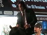 Video: Keanu Reeves does horse riding stunts filming John Wick 3 in NY | Daily Mail Online