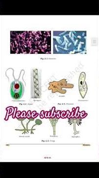 class 9 microorganisms friends and foe explained (PART-1) please subscribe ✨ #sciene #subscribe❤