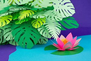 Stop Motion as a current technique from a graphical point of view