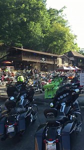 31 reactions · 3 comments | Cat House on Reels | Facebook