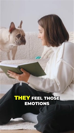 Your Dog Feels Your Emotions