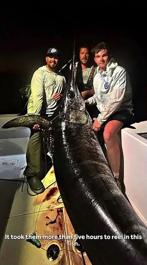 500-pound swordfish caught in the Florida Keys, family says it took 5 hours to reel in