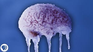 The Science Behind a Brain Freeze. Do you get ice cream headaches?! Knowing what causes a brain freeze can give us some clues about how to fix it. 🧠❄️ | BrainCraft
