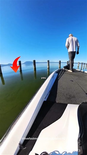 What An Earthquake Looks Like On Water