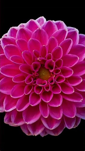 Hidden Secrets of Nature 🌸