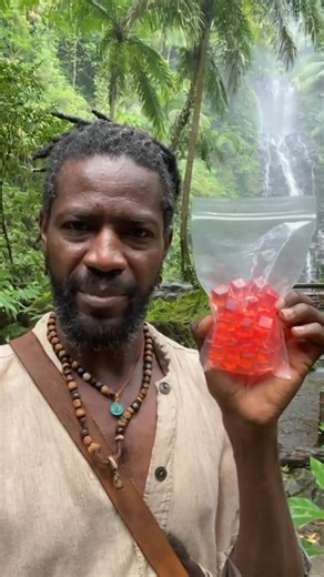 496K views · 8.6K reactions | My father Dr Sebi was taken out for recovering these red gummies‼️ #alkaline #vegan #alkalinevegan #food #diet #healthyfood #drsebi #drsebiapproved #drsebirecipes | Doc Vital | Facebook