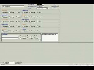 MS Access Human Resources Staff Monitoring Application