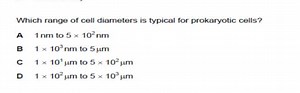 Which range of cell diameters is typical for prokaryotic cells?... | Filo