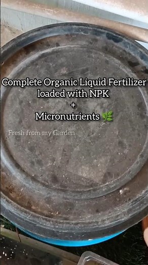 Homemade Liquid Fertilizer Every Gardener Needs 🍅🌱🥦🌺