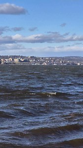 Looking towards Newburgh on a windy Hudson River day. 🌎🔭🚶‍♂️ #newyork #hudsonvalley #hudsonriver #fyp #travel | The Hudson Valley Explorer