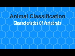 Characteristics Of Vertebrata