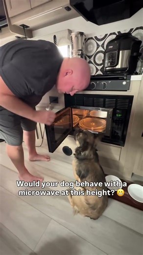 Would your dog love this RV microwave height?🤣 It does lock so that it’s safe for small kiddos