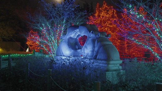 Reserve your spot for Toledo’s timeless tradition, the 40th edition of Lights Before Christmas presented by Huntington Bank! 🌲Over one million lights ⭐ 200 illuminated animal images ❄️ Winter Village sponsored by Kroger 🥂 Holiday concessions 🚂 Rides & activities 🎅 Visits with Santa & more! Reservations are required for members and non-members. Plan your visit now - Dec. 31 on our website. | The Toledo Zoo